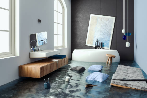 Best Mold removal after water damage  in Stanley, WI