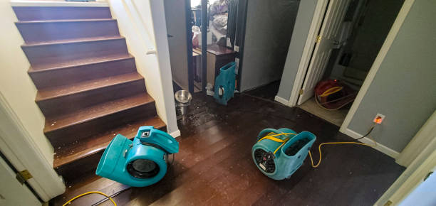 Best Water damage restoration company  in Stanley, WI