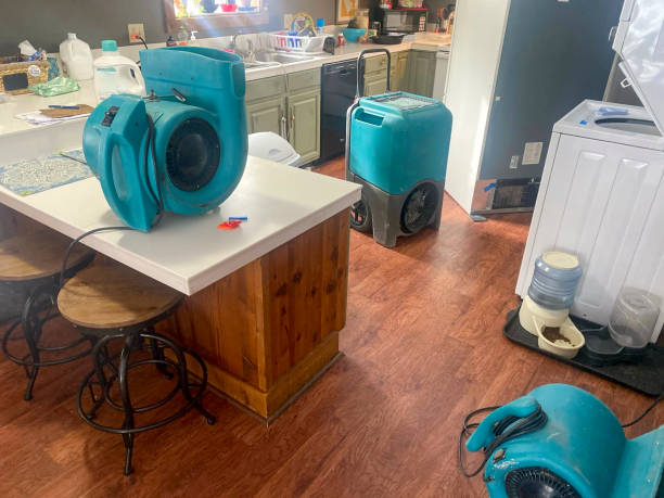 Best Residential water damage restoration  in Stanley, WI
