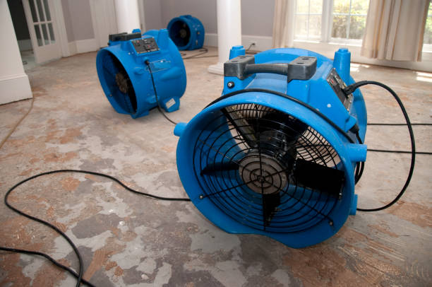 Best Flood restoration services  in Stanley, WI