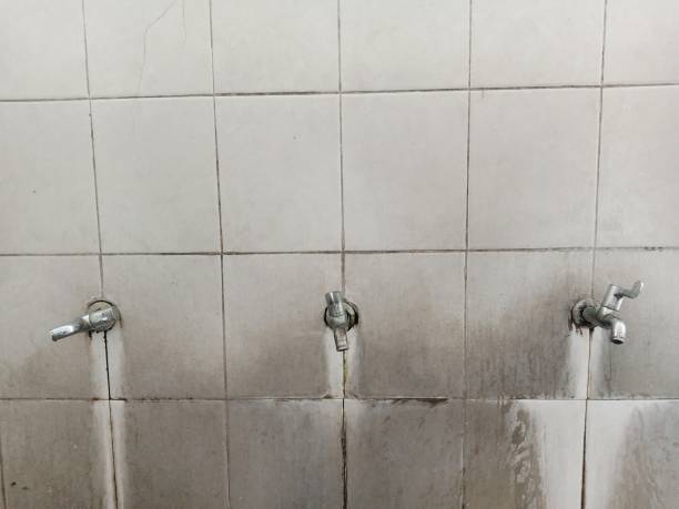 Best Basement water damage restoration  in Stanley, WI