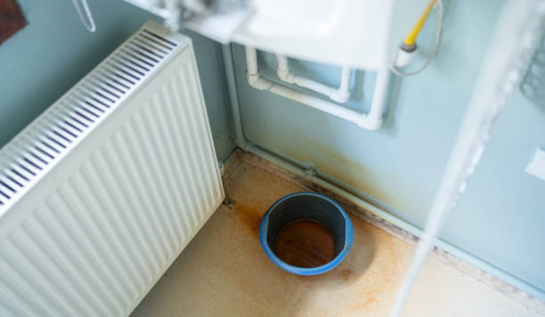 Best Water damage restoration specialists  in Stanley, WI