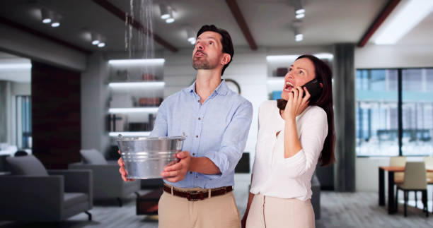 Best Flood restoration services  in Stanley, WI